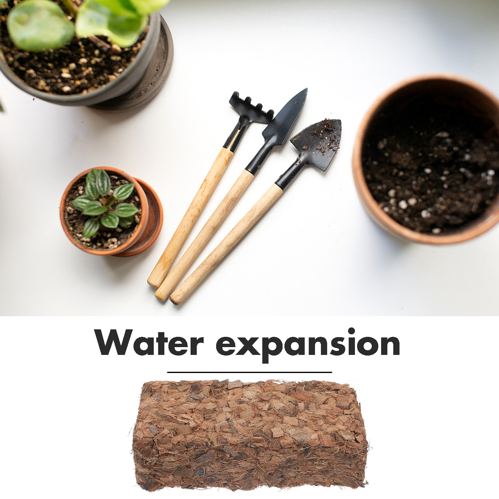 Sphagnum Coconut Shell Fertili - огляд і ціна Coco Coir Block