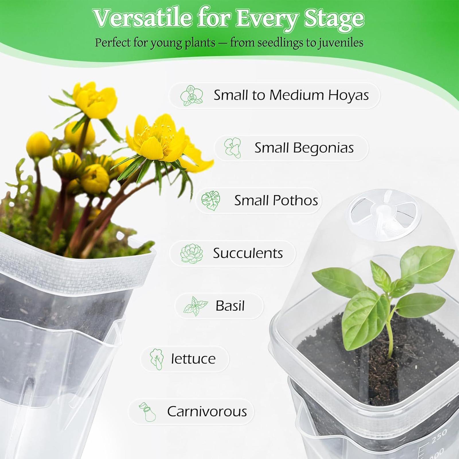 Self Watering Pots 12Pcs Seed  - огляд і ціна Dome Propagation Kit